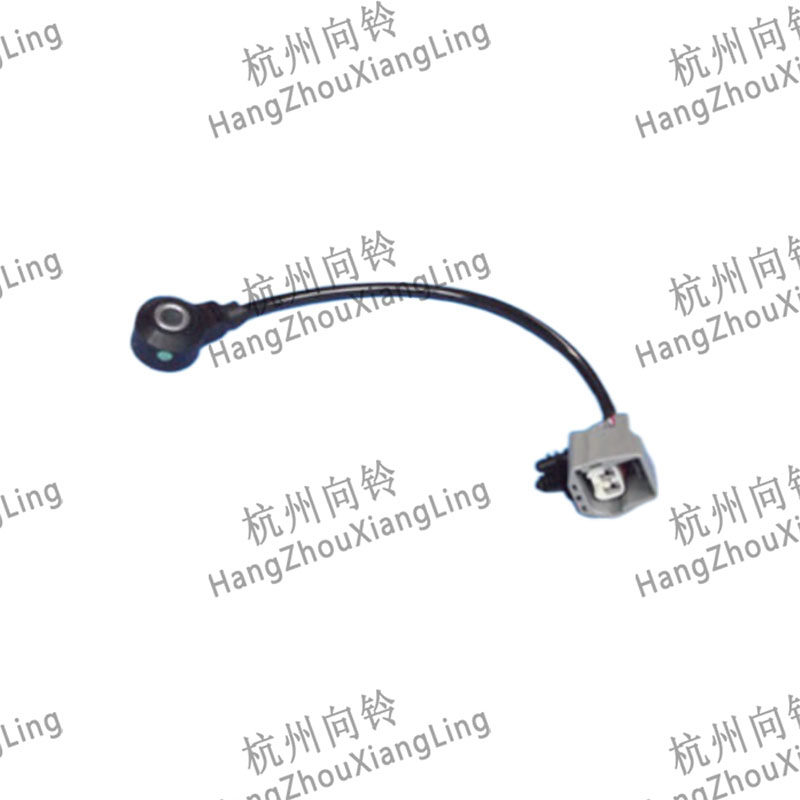 HANGZHOU XIANG LING AUTO PARTS CO.,LTD.